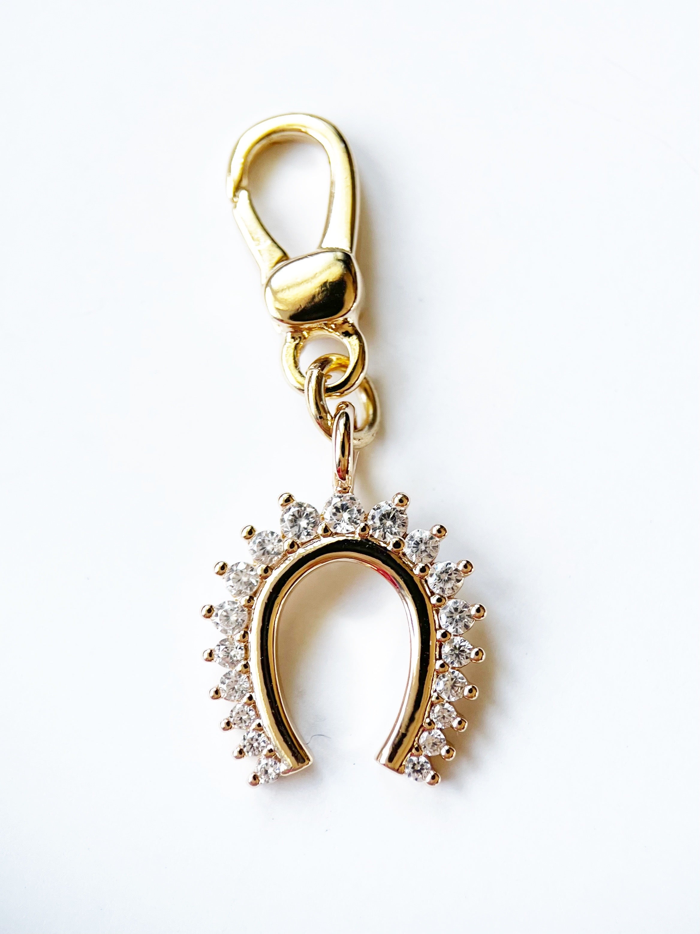 horseshoe charm with detachable clasp